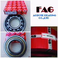 fag bearings